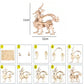 (5pcs) Animal Wood Puzzles mature-themed  3D Wooden Puzzles Set  Exquisite DIY Model Craft kit  Artwork Set Waiting to be Painted