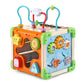 Leapfrog Touch And Learn Wooden Activity Cube