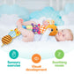 Kmuysl Baby Toys 0-6 6-12 Months, Sensory Music Animal Stuffed Toy For 0 1 2 3 4 5 6+ Months, Plush Toy With Crinkle And Rattles For Infant Newborn, Tummy Time Toys Gifts For 0-3-6-12 Month