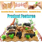 BOLZRA Safari Animals Figurines Playset, 65PCS Realistic Plastic Jungle Zoo Toys for Kids, Multi-color, Ages 3-8