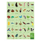 Montessori Search and Find Rainforest Puzzle