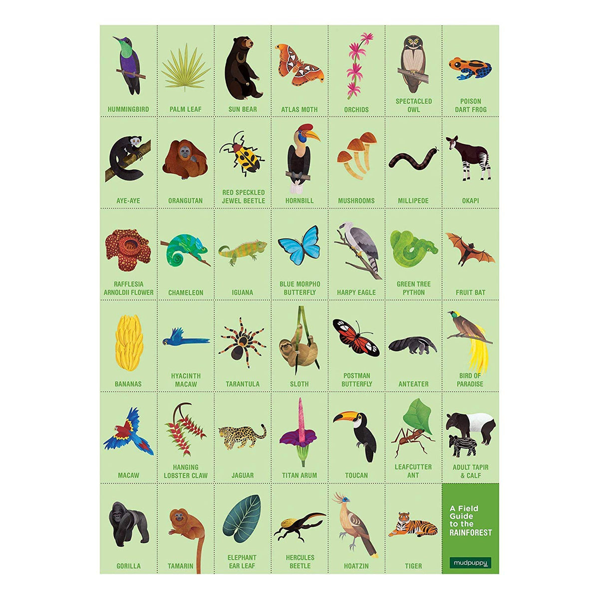 Montessori Search and Find Rainforest Puzzle