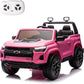 Nitoess 24V 2 Seater 4WD Ride On Toy Car,Ride on Truck with Remote Control, Electric Toy Ride On Vehicle for 3+ Years Kids(Pink)