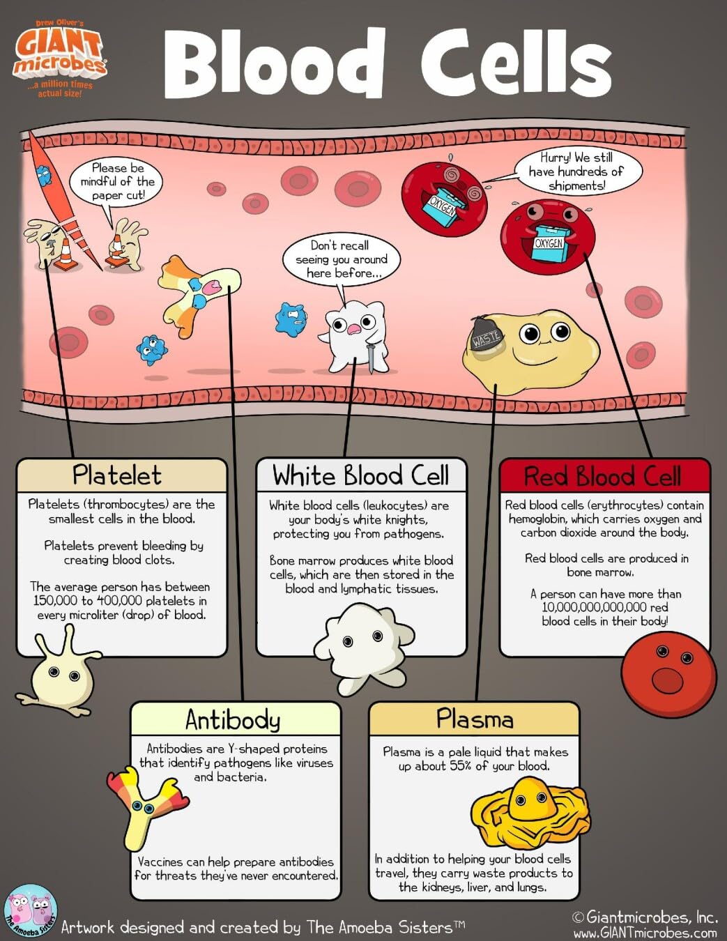 GIANTmicrobes Antibody Plush, Blood Bank, Hematology Gifts, Infectious Disease Doctor Gift, Get Well Gifts, Blood Cells. Pharmac