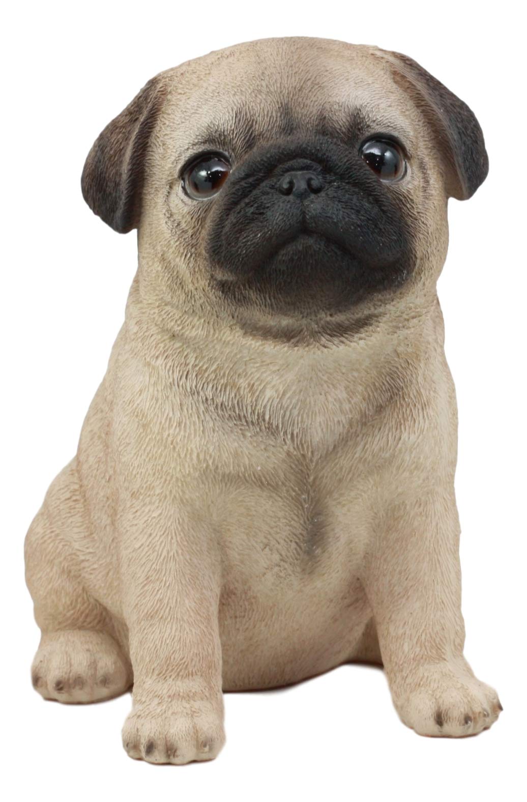 Ebros Gift Realistic Lifelike Adorable Sitting Pug Dog Statue 6' Tall Pet Pal Pugs Puppy Pup Dog Breed Collectible Resin Decor Figurine With Glass Eyes