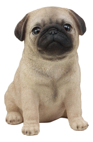 Ebros Gift Realistic Lifelike Adorable Sitting Pug Dog Statue 6' Tall Pet Pal Pugs Puppy Pup Dog Breed Collectible Resin Decor Figurine With Glass Eyes