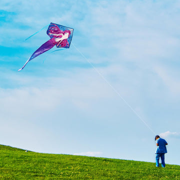 HONBO Mermaid & Pegasus Beginner Kite for Kids & mature-themeds  Easy to Fly Delta Kite