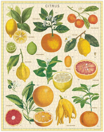 Cavallini 1000 Piece Puzzle - Citrus Design, Multi-Color Paperboard