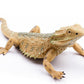 Rismise Lizard Figurine Toys - Plastic Bearded Dragon Model for Cake Decoration, Educational Play, and Reptile Prank Props
