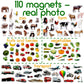 110 Fridge Magnets For Toddlers In Gift Tin Box Kids Magnets For Fridge - Toddler Magnets For Refrigerator - Magnetic Animals - Fridge Magnets For Kids - Animal Magnets - Toddler Fridge Magnets