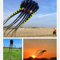 APZ Sky Visitor 3D 26ft Ultra Large & Fun Octopus Foil Kite with Handle & Line, Giant Kite for Adults and Kids, Boys Girls, Beac