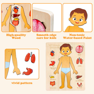 Wooden Body Puzzles For Kids, Toddler Montessori 14 Pieces Boy Anatomy Puzzle, Human Body Learning Toy With Internal Organs Earl