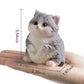 Fat Cat Taba Squishy Kit - Cute Silicone Fidget Toy, Ideal Memorial Gift For Cat Lovers (Gray)