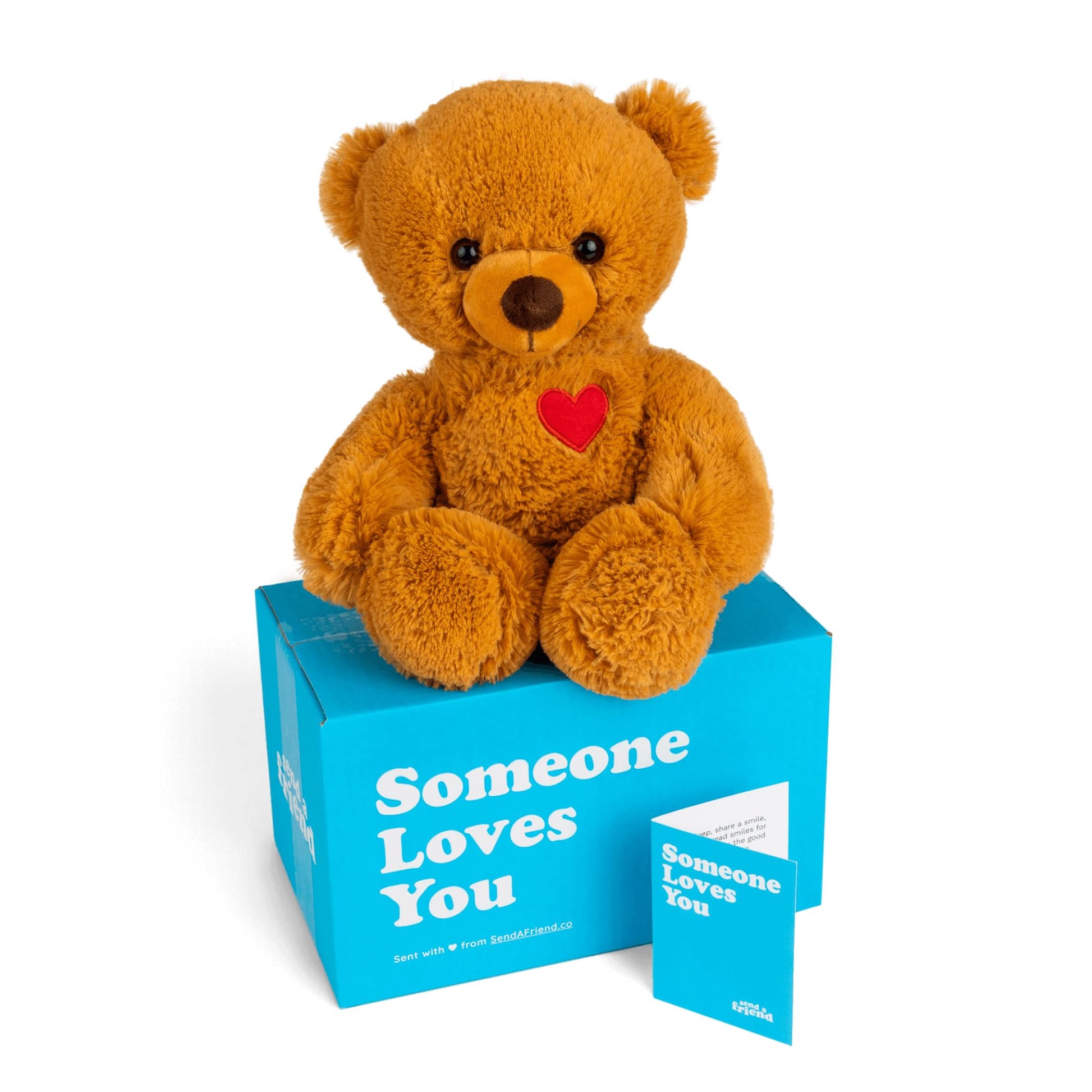 send a friend Toby The Teddy Bear Stuffed Animal Care Package  Someone Loves You Box  Great Gift for Any Reason (Love You Notecard)