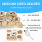 TRUENERGY Medium Break Your Own Geodes 20 (1.5 -2.5) enhanced Easy to Open Geode with Crystals - Includes Magnifying Glass and Instructions  STEM Science Kit