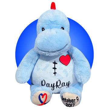 Personalized CHD Heart Warrior Teddy Bears - Surgery Teddy Bear Gifts - Gifts for kid having surgery - Custom Scar Buddy - Heart