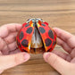 Makebug Early Educational Toys And Games, Eco-Friendly Stem Activities And 3D Paper Puzzles For Autistic Kids-Ladybug (Ages 7 An