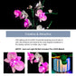 Brickbling Light Only, Compatible With Lego 10311 Orchid, Led Lighting Kit Compatible With Orchid 10311 (Lights Only, Not Come With Model) (Classic Version)