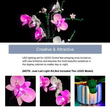 Brickbling Light Only, Compatible With Lego 10311 Orchid, Led Lighting Kit Compatible With Orchid 10311 (Lights Only, Not Come With Model) (Classic Version)