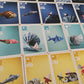 Cranio Creations - Sea Salt & Paper, Immerse Yourself In An Ocean Of Cards And Origami, Italian Language Edition