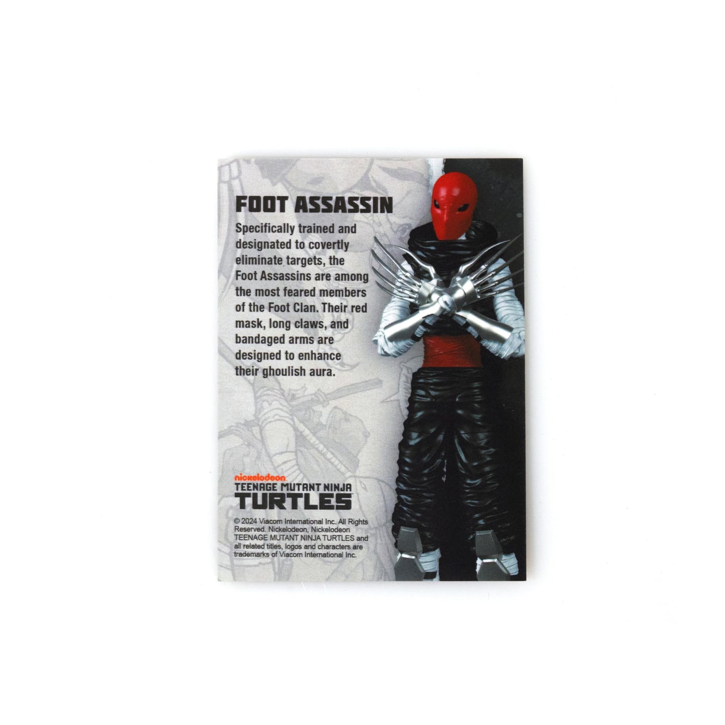 Teenage Mutant Ninja Turtles BST AXN IDW Inspired Foot Assassin 5-inch Action Figure