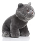 TAMMYFLYFLY Lifelike British Shorthair Cat Plush Stuffed Animal Toy British Shorthair Cat Animal Model 32cm