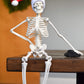 Hbarsci Dead Elf In The Lab - 17' Miniature Skeleton, Santa Hat & Christmas Coal For Scientist, Lab Tech, Lab Manager Teacher