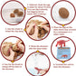 Dino Egg Excavation & Craft Kit