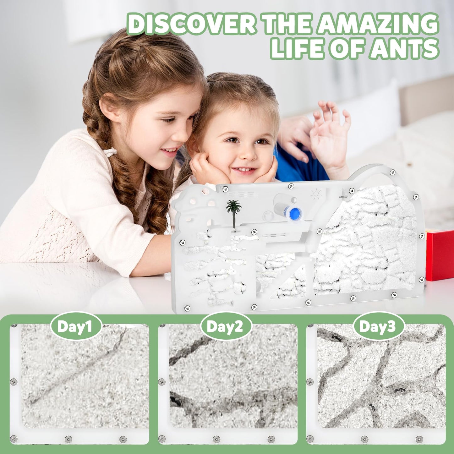 Blevla Ant Farms with Connections  Ant Farms for Kids & mature-themed  Live Ants for Ant Farm Educational Science DIY Toy Kit - STEM Learning Toy - Great Gifts for Boys & Girls (Castle)