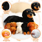 Honoson Nurturing Dog Stuffed Animal With Puppies Set Nursing Mommy Dog Plush With 4 Baby Puppies Soft Cute Dog Themed Stuffed P