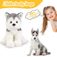 Bstaofy 12'' Husky Stuffed Animal Realistic Puppy Dog Soft Plush Toys Adorable Birthday Valentines Christmas Festivals Gifts For