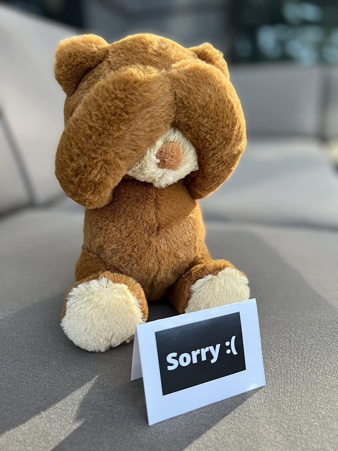 Cutest Im Sorry Gift for Her & Him - The Im Sorry Teddies - Embarrassed Adorable Super Soft Stuffed Animal Plush Toy - Unique