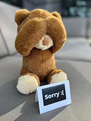 Cutest Im Sorry Gift for Her & Him - The Im Sorry Teddies - Embarrassed Adorable Super Soft Stuffed Animal Plush Toy - Unique