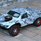 SummitLink Compatible Custom Body Taichi Style Replacement for 1/10 Scale RC Car or Truck (Truck not Included) SS-TC-01