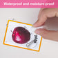 Fruits/Vegetable/Foods/Food Quantities English Flash Cards Pocket Card Learning Baby Toys For Children Pre-Kindergarten Kids Gif
