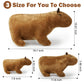 Evolveover Capybara Plush Toy, Capybara Stuffed Animal, Capybara Plushie,Stuffed Capybara Peluche (11.8 Inches)