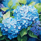 Tulip N Turtle Hydrangeas Diy Acrylic Paint By Number Kit For Adults Beginner Canvas Painting By Number Acrylic Painting. Wall D