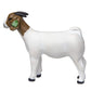 Little Buster Toys Grand Doe Show Goat, White with Brown Head, One Size, Plastic, Model 200895