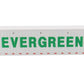 40 Refrigerated Sea Container Evergreen White Transport Series 1/50 Model by Diecast Masters 91028 A