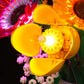 Zovesy Led Light Kit For Lego Wildflower Bouquet 10313 Artificial Flowers With Poppies And Lavender, Decoration Lights Valentine
