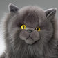 Cat, Persian Gray, 12 Inches, 30Cm, Plush Toy, Soft Toy, Stuffed Animal 3433