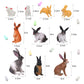 Sumind 10 Pieces Easter Bunny Rabbit Toy Figure, Mini Bunny Toy Figure, Realistic Animal Toys 3D Playset, Farm Animal Toy Rabbit