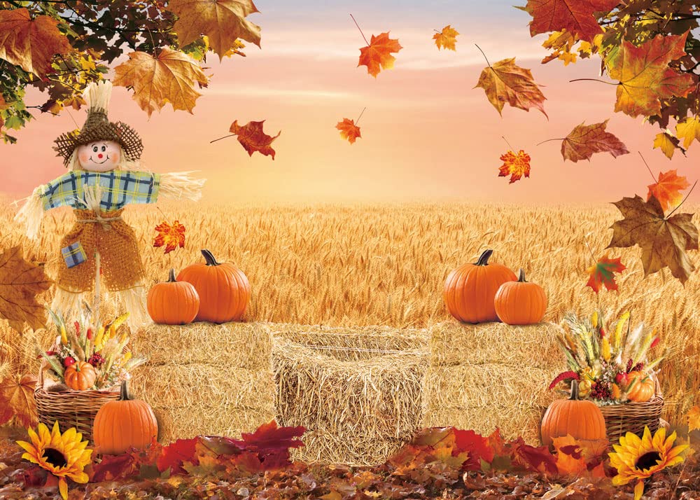 Autumn Photography Background Thanksgiving Harvest Barn Party Backdrop Pumpkin Maple Leaf Hay Wooden Decor Baby Shower Cake Tabl