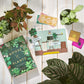 Ridley’S House Of Plants: The Card Game – Unique Game For 2-4 Players, Ages 8+ – Beautifully Illustrated Card Game For Families With Instructions Included – Makes A Great Gift Idea