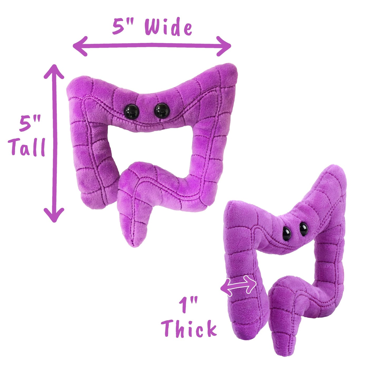 Giantmicrobes Colon Plush, Colonoscopy Gifts, Funny Colon Gifts, Colon Cancer Gifts, Gastroenterology Gifts, Colorectal Cancer Awareness, Gastroenterologist Gifts, Guts Plush Toy, Endoscopy Gifts