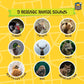 Toysmith Outdoor Discovery, Hoot-N-Hollar Animal Caller, 9'' Horn With 9 Animal Sounds, For Boys & Girls Ages 5+