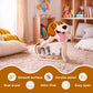 Beagle Wooden Piggy Bank For Boys, Girls, Unbreakable Wooden Money Box For Kids With Letter Stickers, Cute Wooden Cash Coin Bank