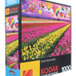 Roseart - Kodak Premium - Sunset Balloons Over Tulip Field - 1000 Piece Jigsaw Puzzle For Adults