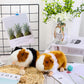 2 Pieces 8 Inch Cute Guinea Pig Plush Toys Stuffed Realistic Stuffed Animals Soft Guinea Pig Doll Toys Decor For Boys Girl Themed Party Supplies (Black, Yellow)