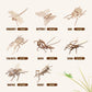 Elx Wooden 3D Puzzles For Kids 6+, 8 Piece Set Insect Animal Wooden Models, Wood Building Kits Diy Wooden Crafts Stem Toys Peres